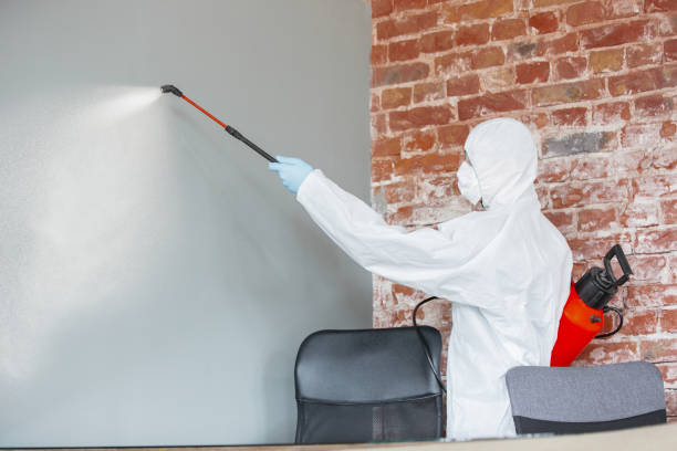 Best Forensic Mold Investigation  in Sheridan, AR