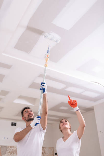 Best Commercial Mold Inspection  in Sheridan, AR