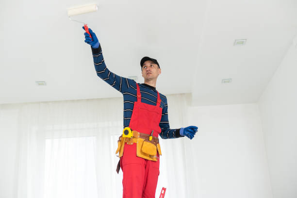 Best Mold Prevention Services  in Sheridan, AR