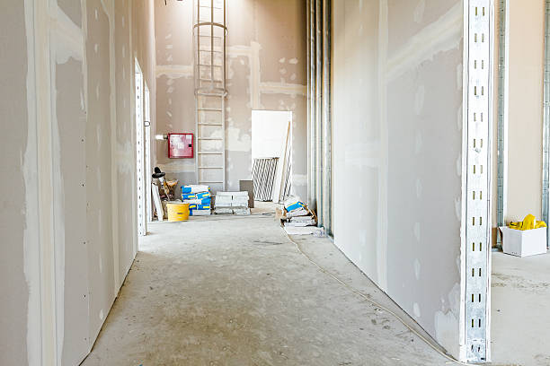 Best Post-Construction Mold Inspection  in Sheridan, AR